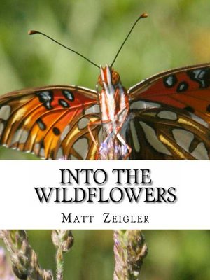 cover image of Into the Wildflowers